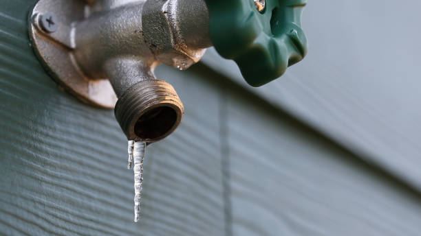 Best Residential Plumbing Services  in Brooklyn Park, MN