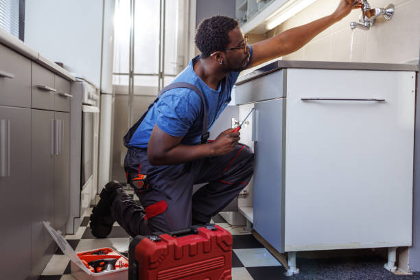 Best Commercial Plumbing Services  in Brooklyn Park, MN